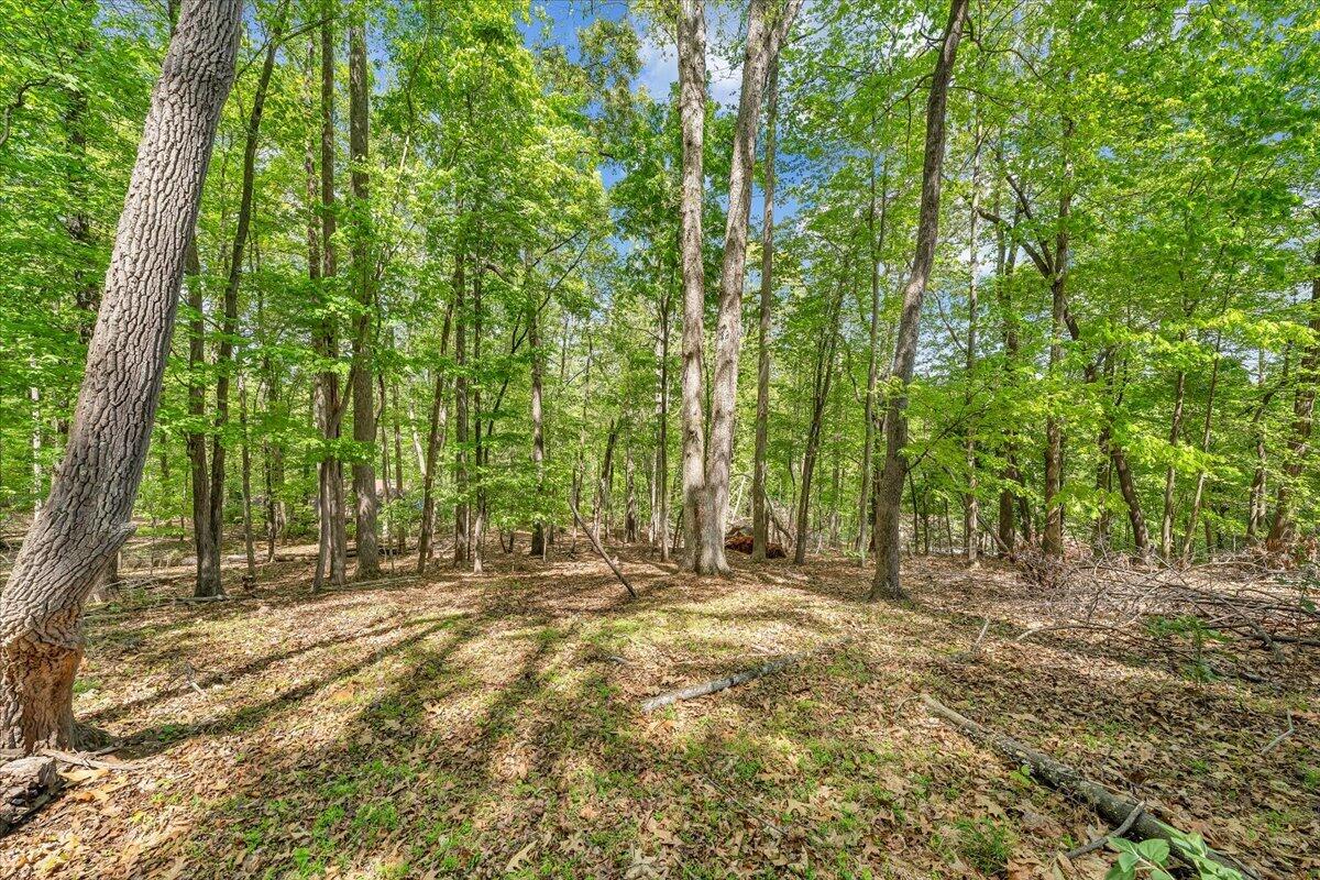 159 Lakeshore Terrace Road Hardy, VA 24101 - Photo 52 of 90 Yard