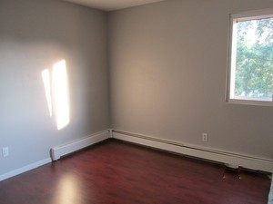 19380 Wolf Road, Unit 9 Mokena, IL 60448 - Photo 11 of 13 an empty room with wooden floor and windows