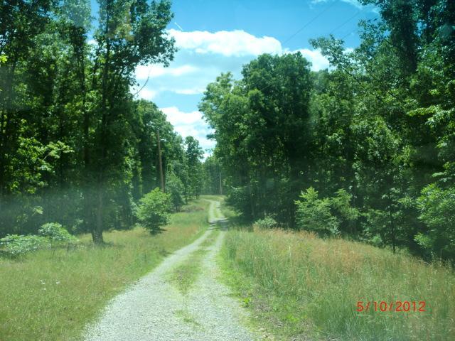 7480 Oak Springs Road Nunnelly, TN 37137 - Photo 3 of 3 driveway