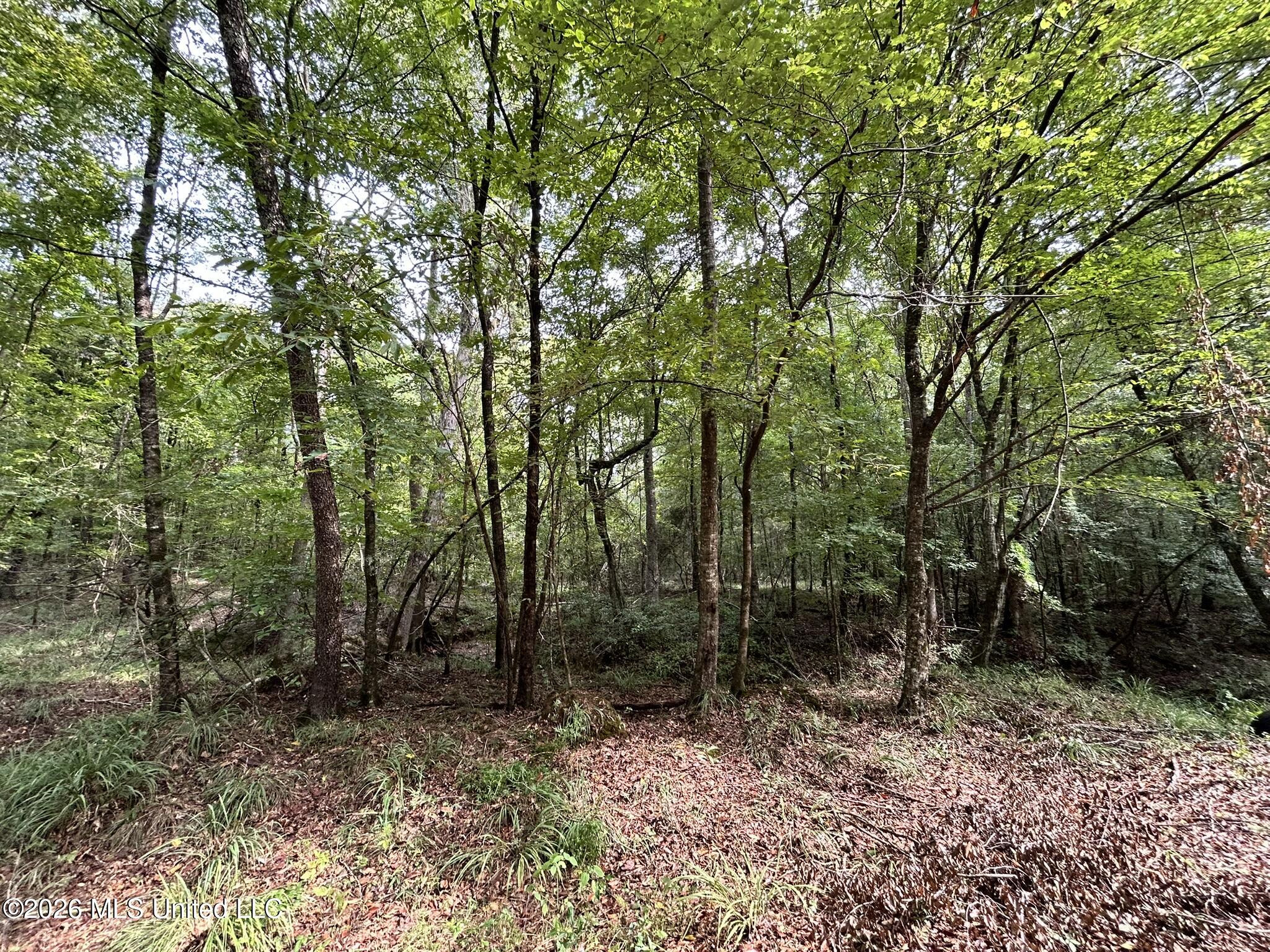 Jayess Road Jayess, MS 39641 - Photo 27 of 65 IMG_9764