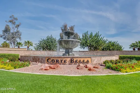 a view of a backyard with a tub