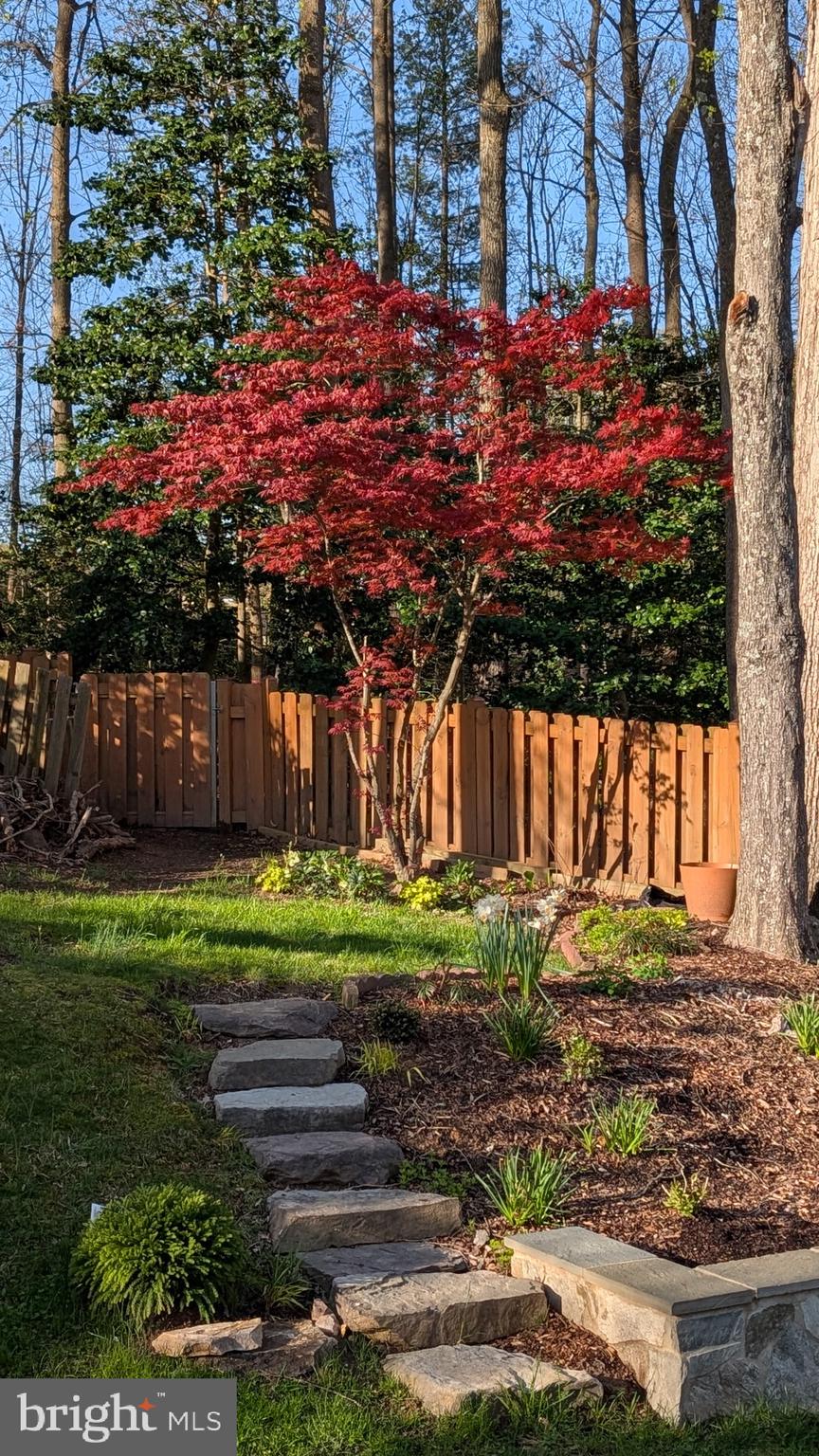 7300 Reservation Drive Springfield, VA 22153 - Photo 44 of 44 Back yard