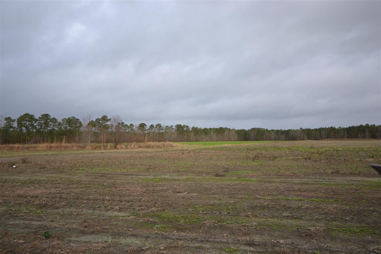 New Hope Road Coward, SC 29530 - Photo 1 of 1 Gallery Image 1