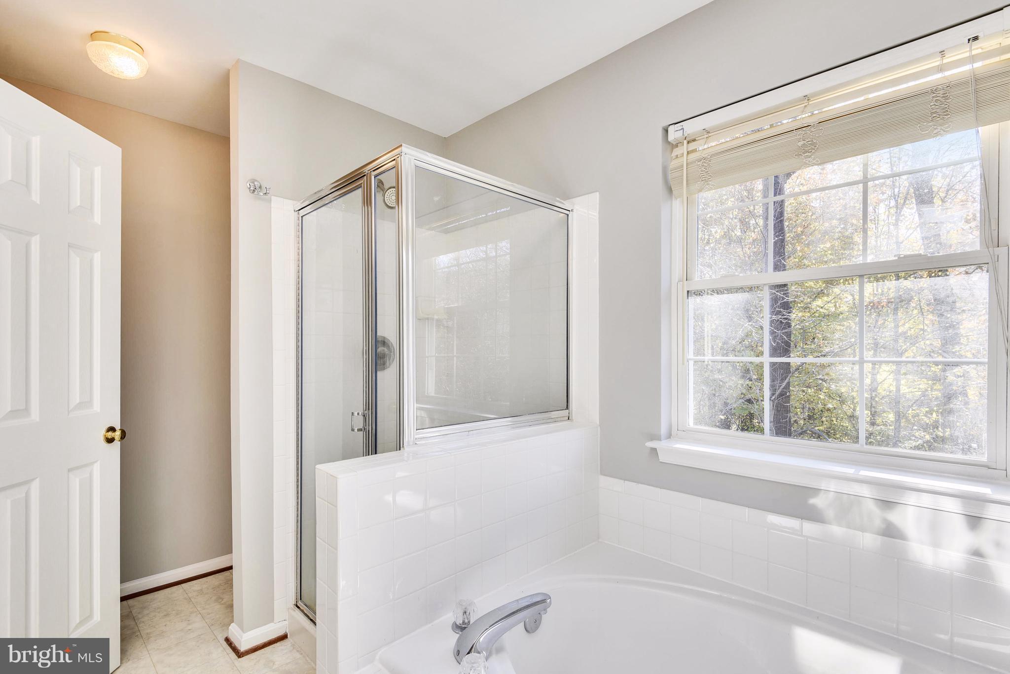 13376 Rushing Water Way Germantown, MD 20874 - Photo 15 of 30 Bath (Master)