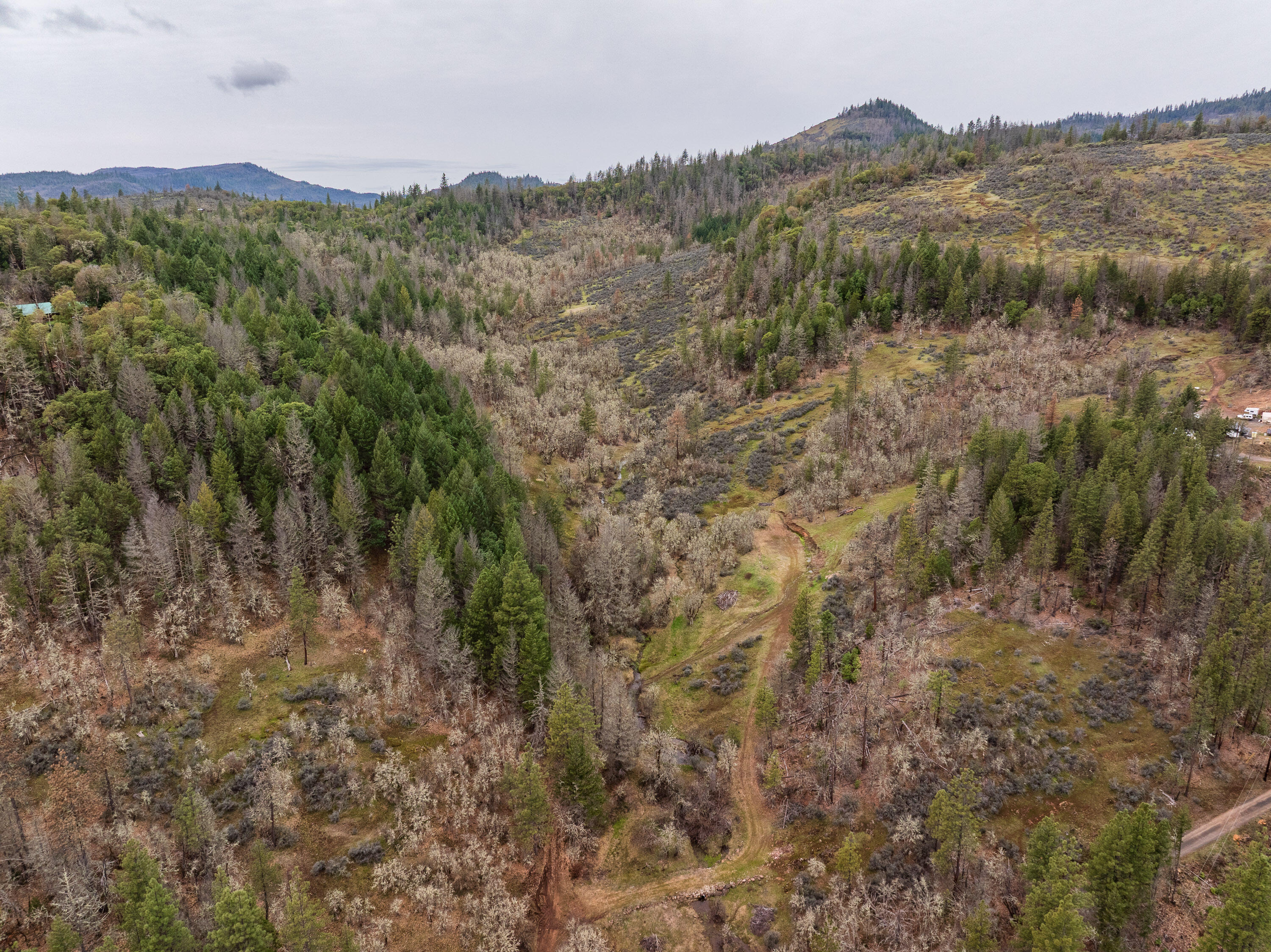 2527 Crowfoot Road Eagle Point, OR 97524 - Photo 7 of 24 2527CrowfootRd-005