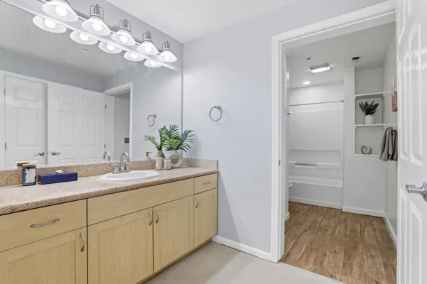 a bathroom with a granite countertop sink a potted plant and a mirror