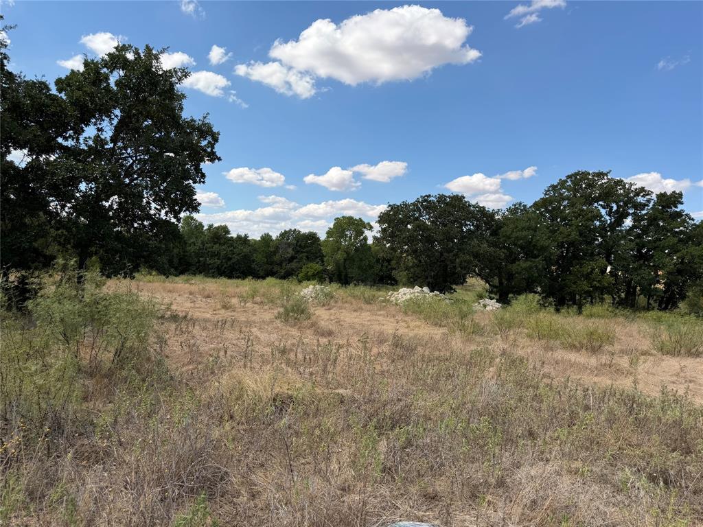 1891 Jordan Road Weatherford, TX 76088 - Photo 4 of 10 Expansive open field with scattered natural foliage and mature trees bordering the perimeter
