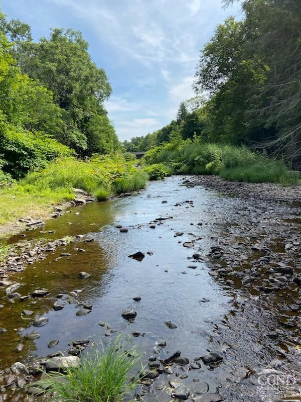 25 Vets Road Windham, NY 12496 - Photo 19 of 74 a view of a beach with a yard