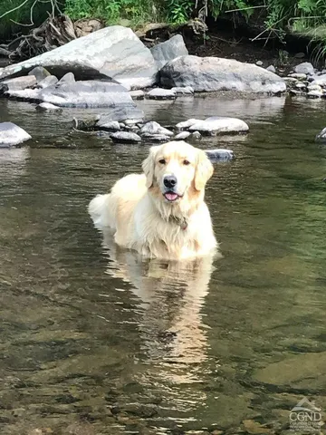 a kitchen with a table chairs sink and cabinets