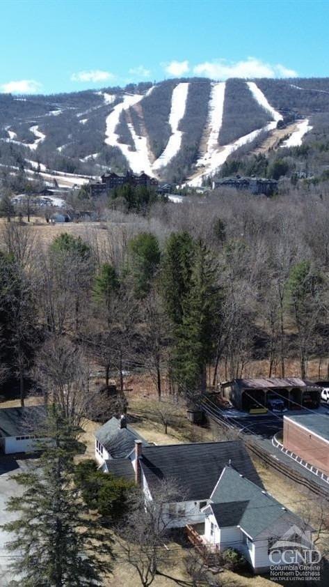 25 Vets Road Windham, NY 12496 - Photo 4 of 74 Photo 4