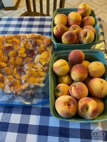 $499,000 | 25 Vets Road, Windham, NY 12496