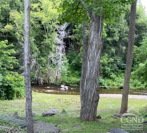 25 Vets Road Windham, NY 12496 - Photo 70 of 74 a view of outdoor space with a garden