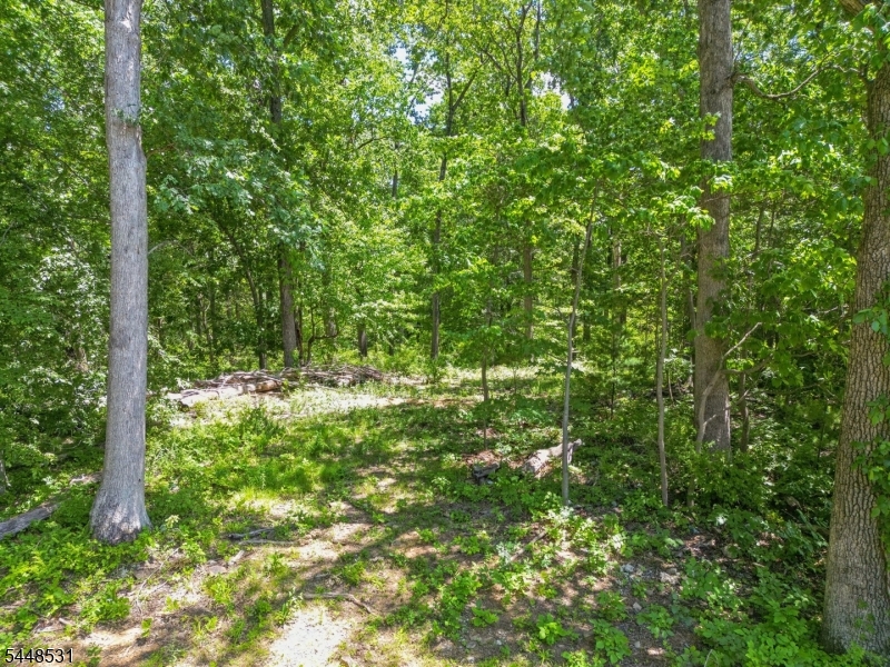 210 King George Road Warren, NJ 07059 - Photo 13 of 20