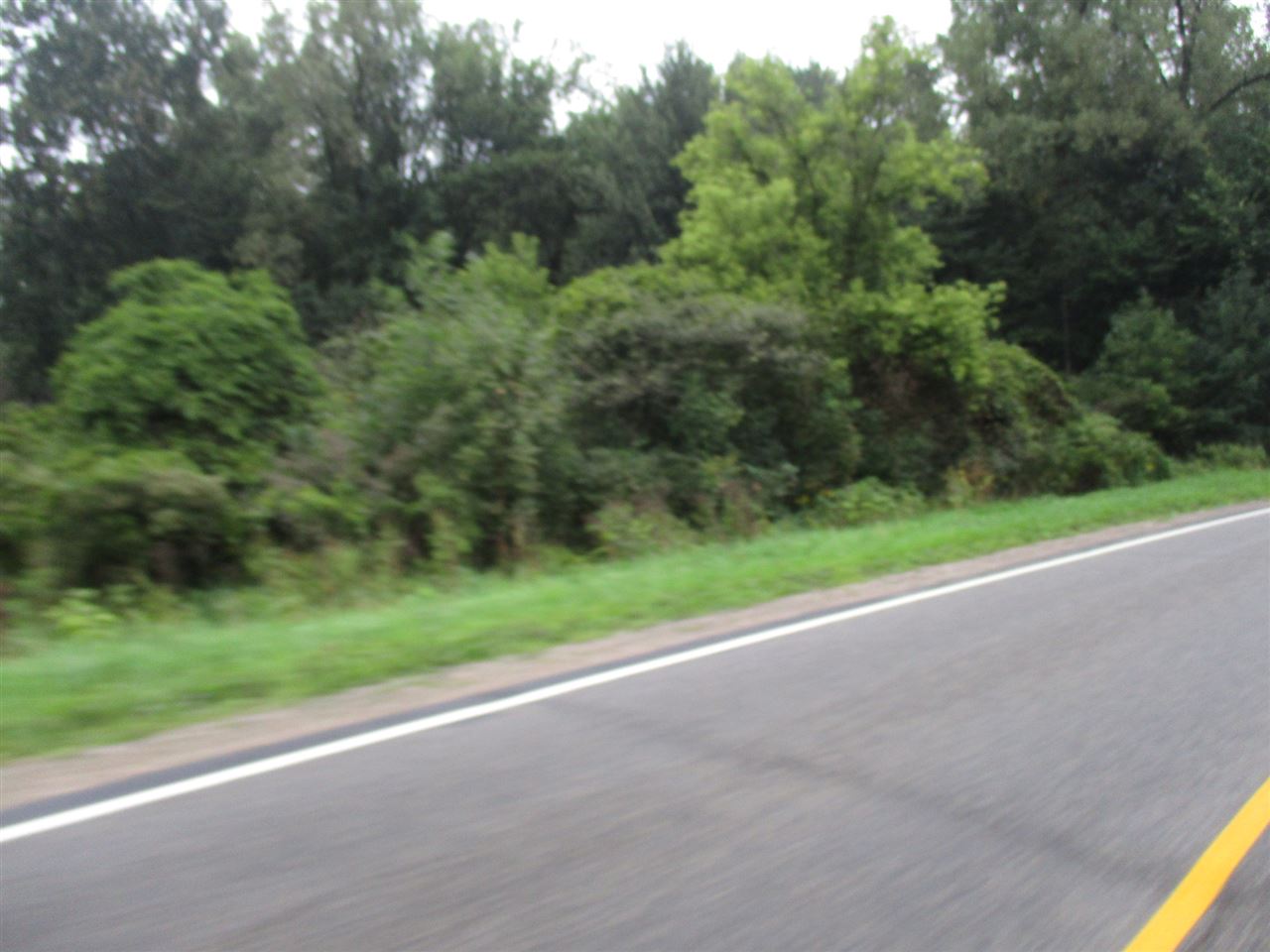 0 South State Road Owosso, MI 48867 - Photo 9 of 13