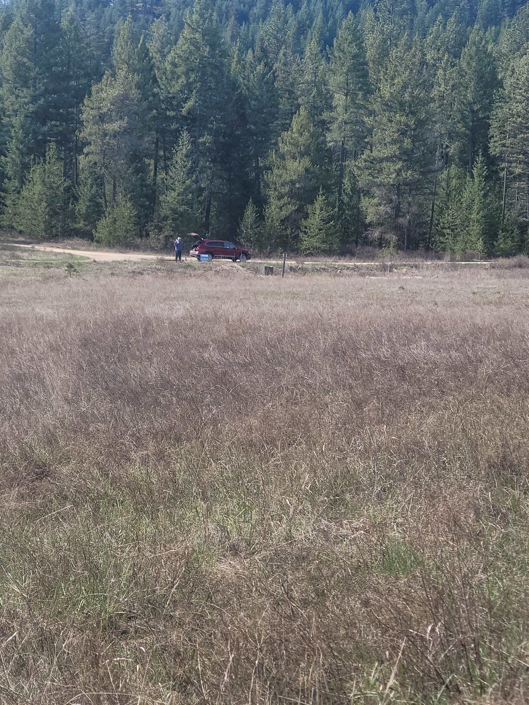 4528 Stonebrook Way Springdale, WA 99173 - Photo 3 of 11