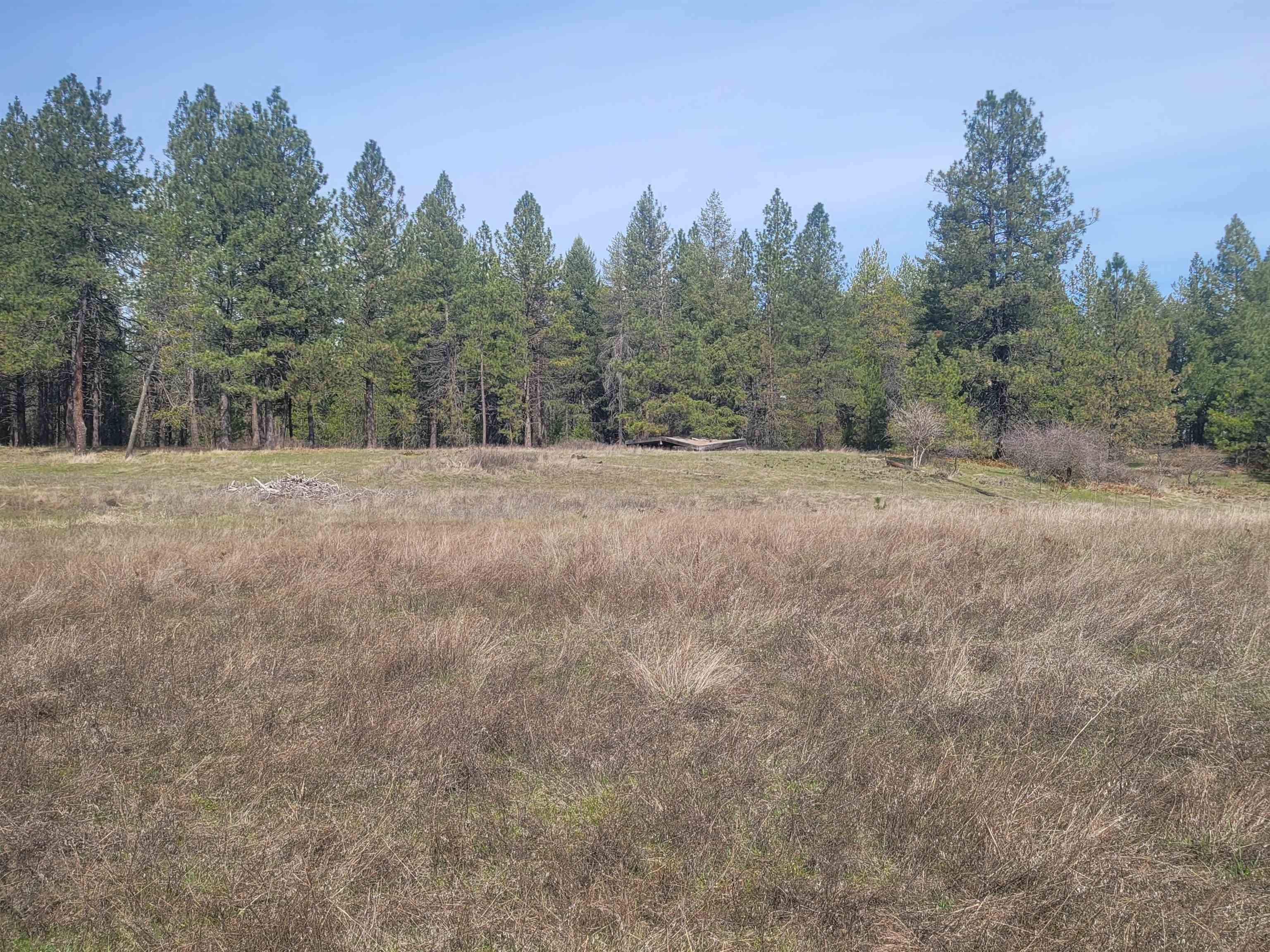 4528 Stonebrook Way Springdale, WA 99173 - Photo 4 of 11