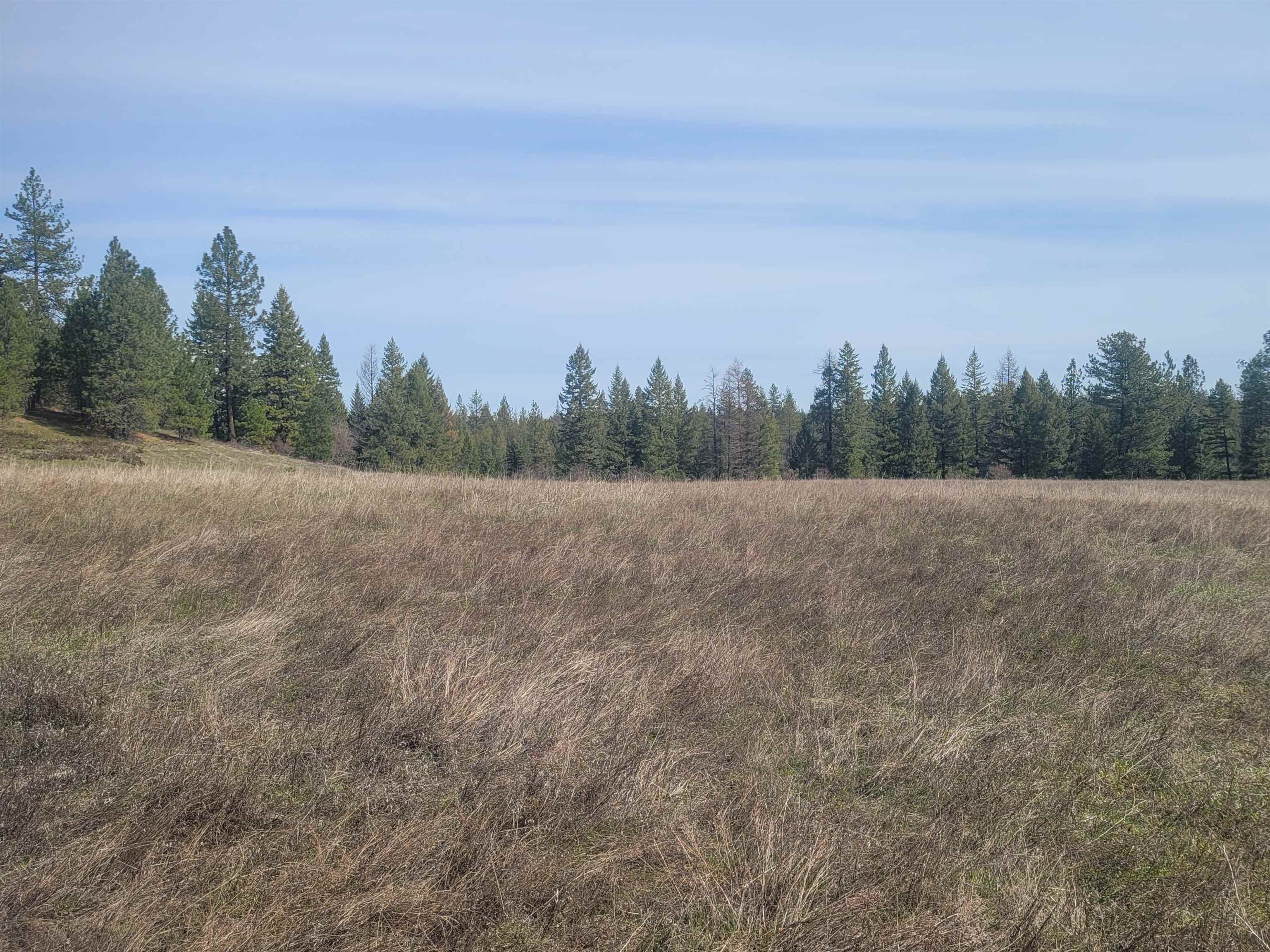 4528 Stonebrook Way Springdale, WA 99173 - Photo 5 of 11