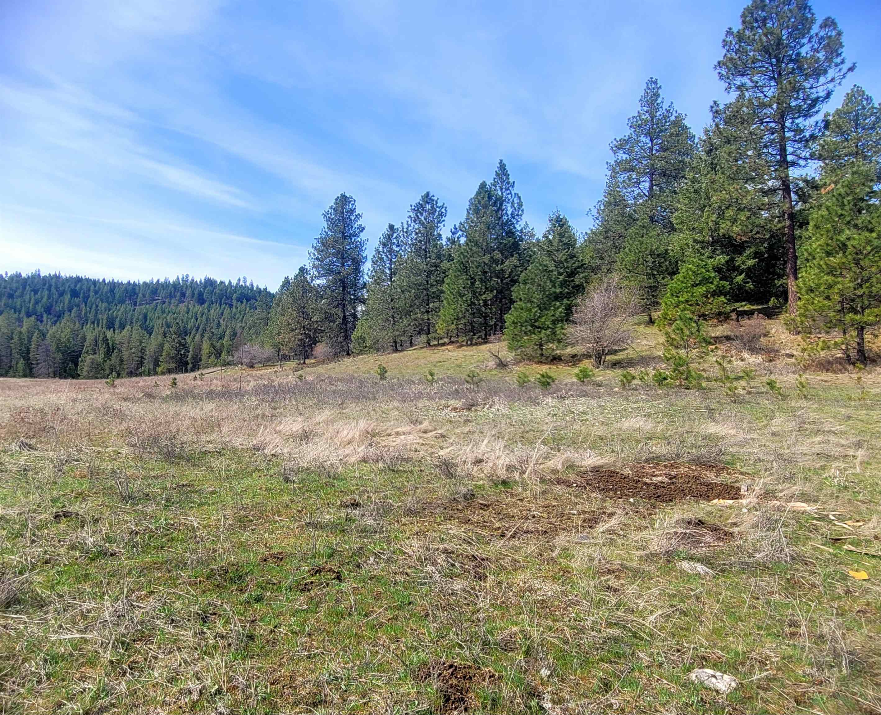 4528 Stonebrook Way Springdale, WA 99173 - Photo 7 of 11