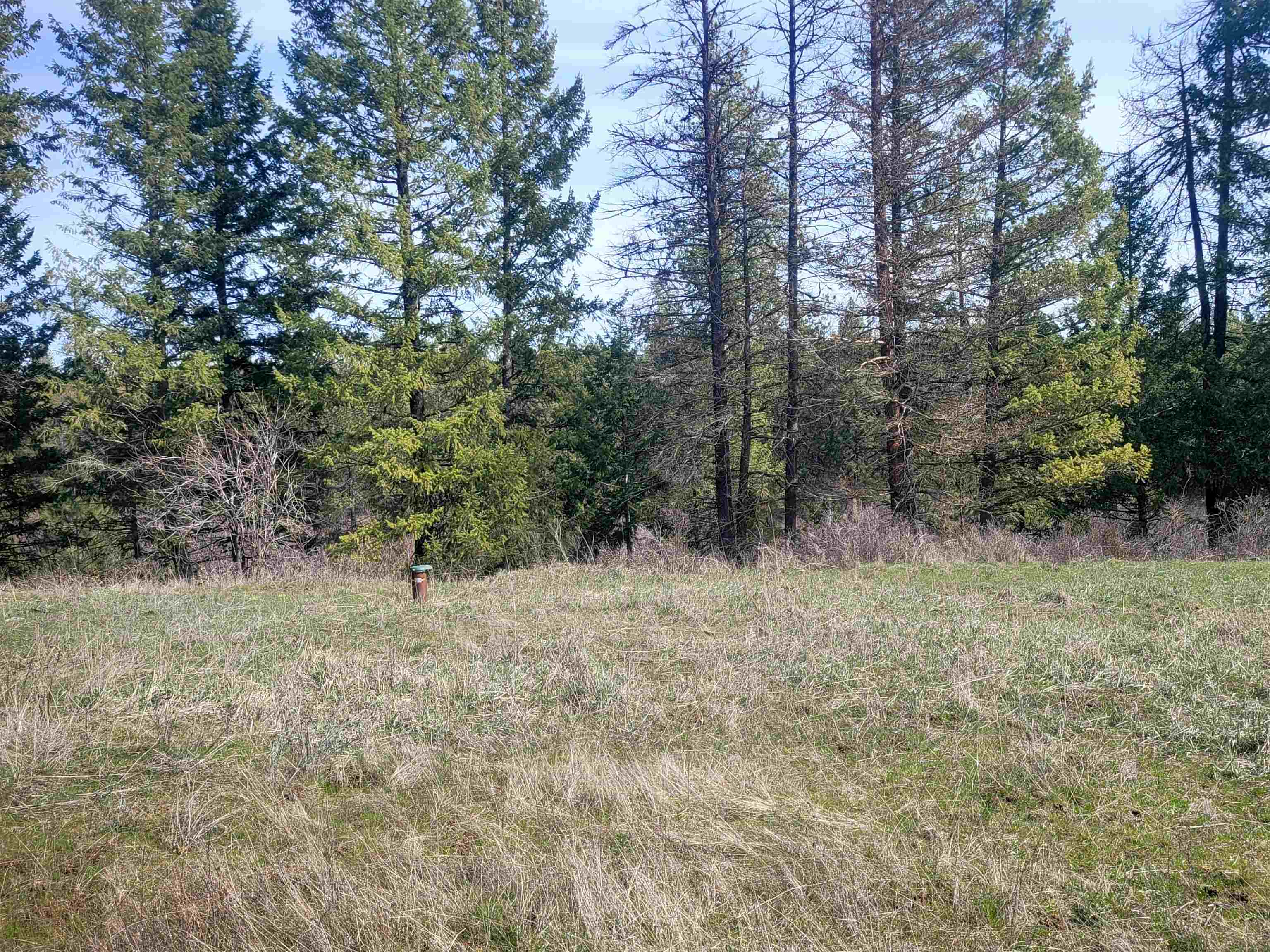 4528 Stonebrook Way Springdale, WA 99173 - Photo 8 of 11