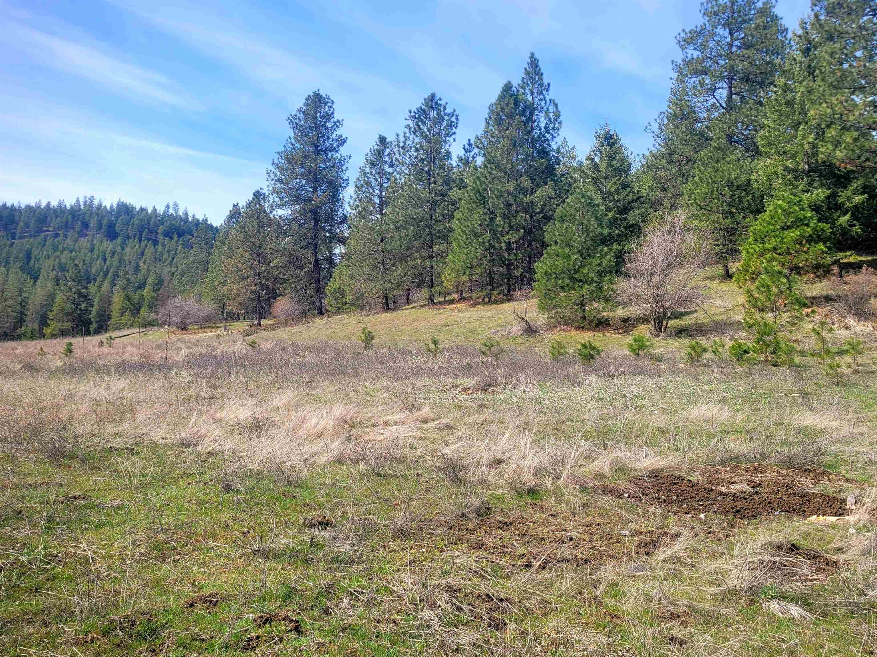 4528 Stonebrook Way Springdale, WA 99173 - Photo 9 of 11