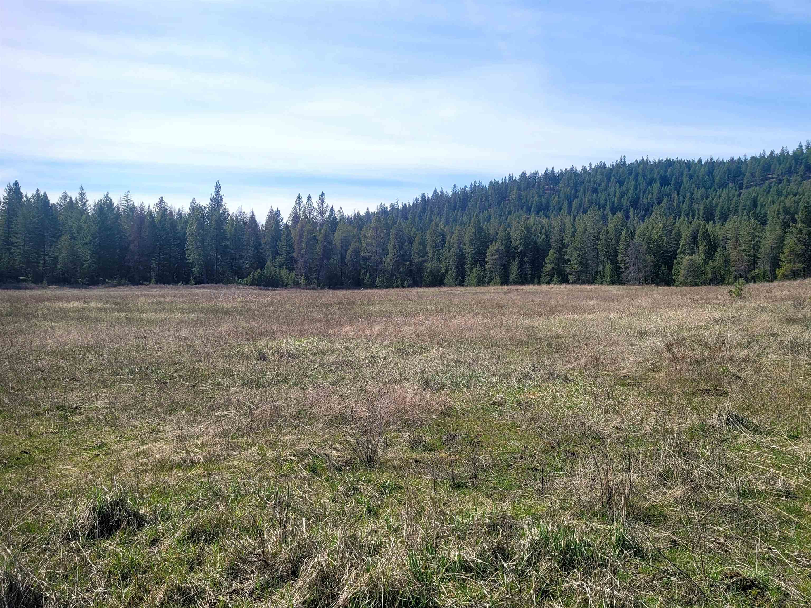 4528 Stonebrook Way Springdale, WA 99173 - Photo 10 of 11