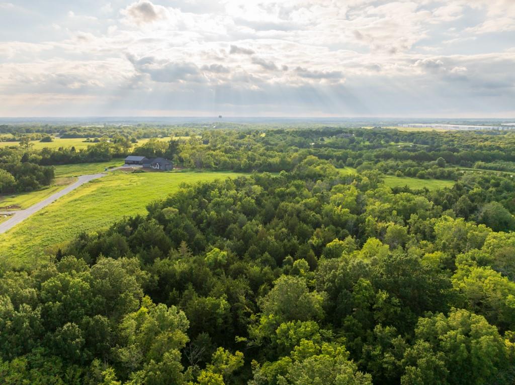 Lot 5 Timber Ridge Drive Peculiar, MO 64078 - Photo 3 of 27 Gallery Image 3