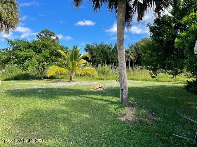 1537 Magnolia Street Northeast Palm Bay, FL 32905 - Photo 11 of 29 a view of a garden with a tree