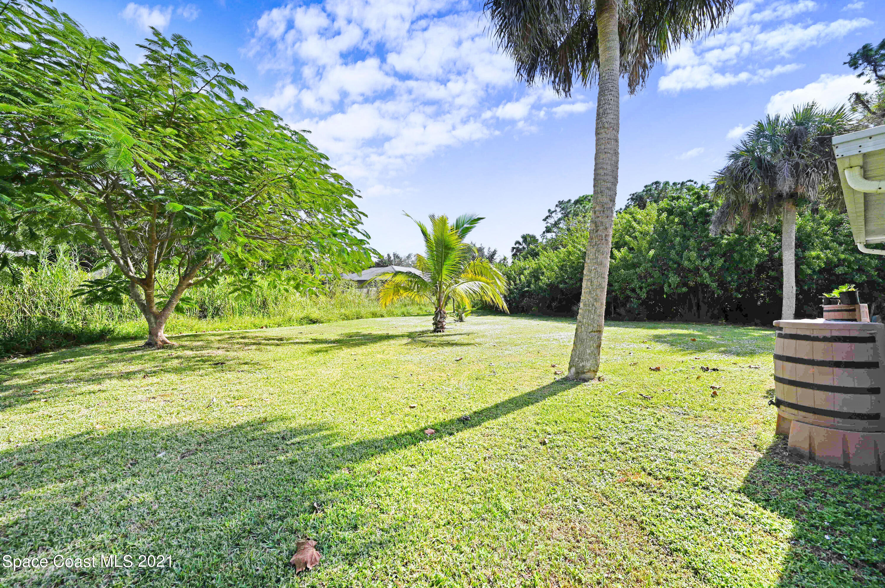 1537 Magnolia Street Northeast Palm Bay, FL 32905 - Photo 6 of 29 a view of a swimming pool with a garden