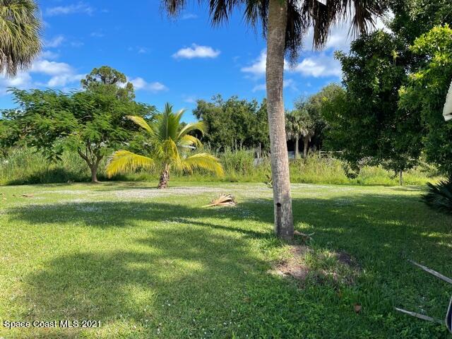 1537 Magnolia Street Northeast Palm Bay, FL 32905 - Photo 9 of 29 a view of a yard with palm trees