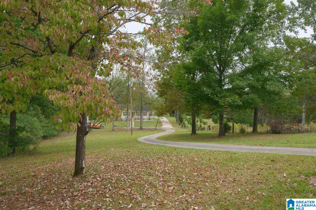 1988 Rock Springs Road Warrior, AL 35180 - Photo 30 of 41