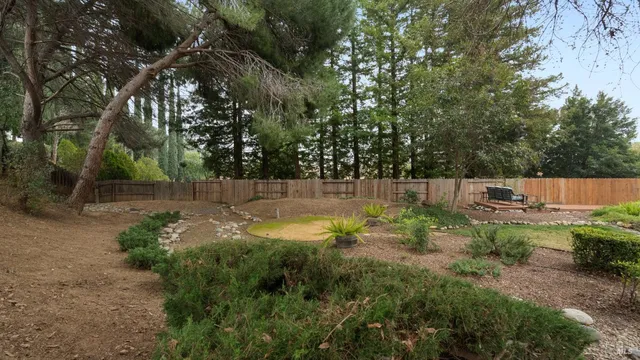 a view of backyard with green space