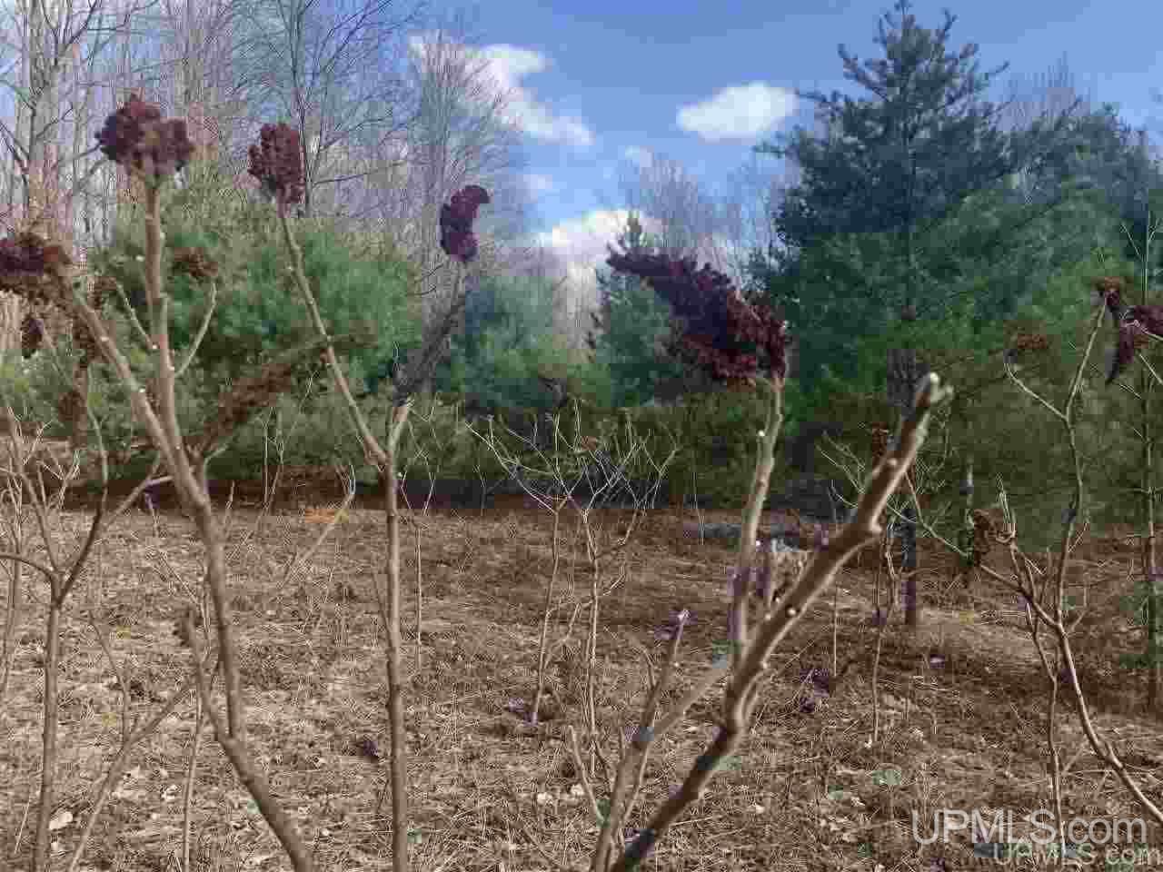 40 West Smith Lake Road Manistique, MI 49854 - Photo 16 of 24