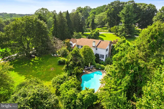 a view of a lake with plants