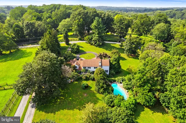 a view of a yard with plants