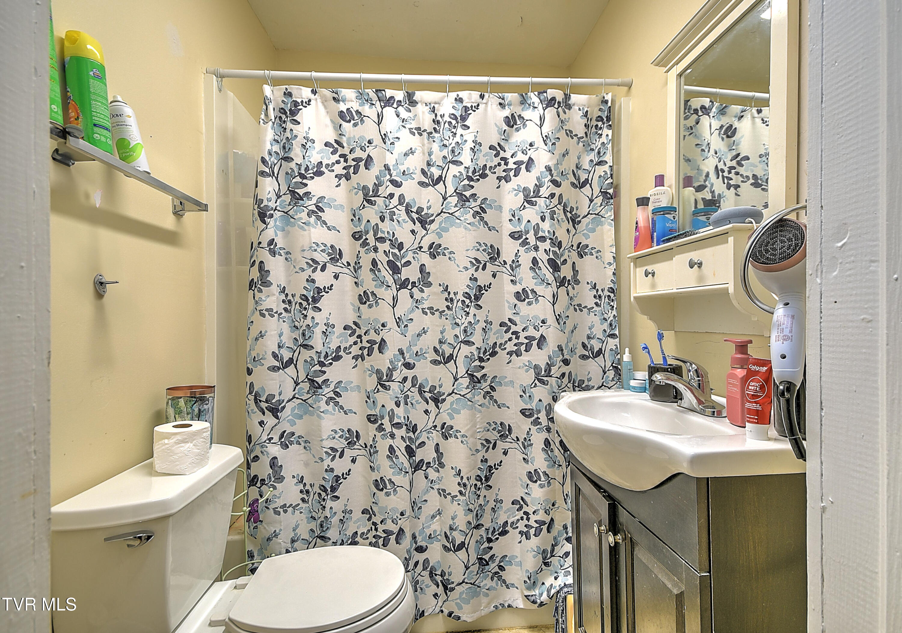 11 Birch Street Bristol, TN 37620 - Photo 13 of 17 11 Birch KW-17