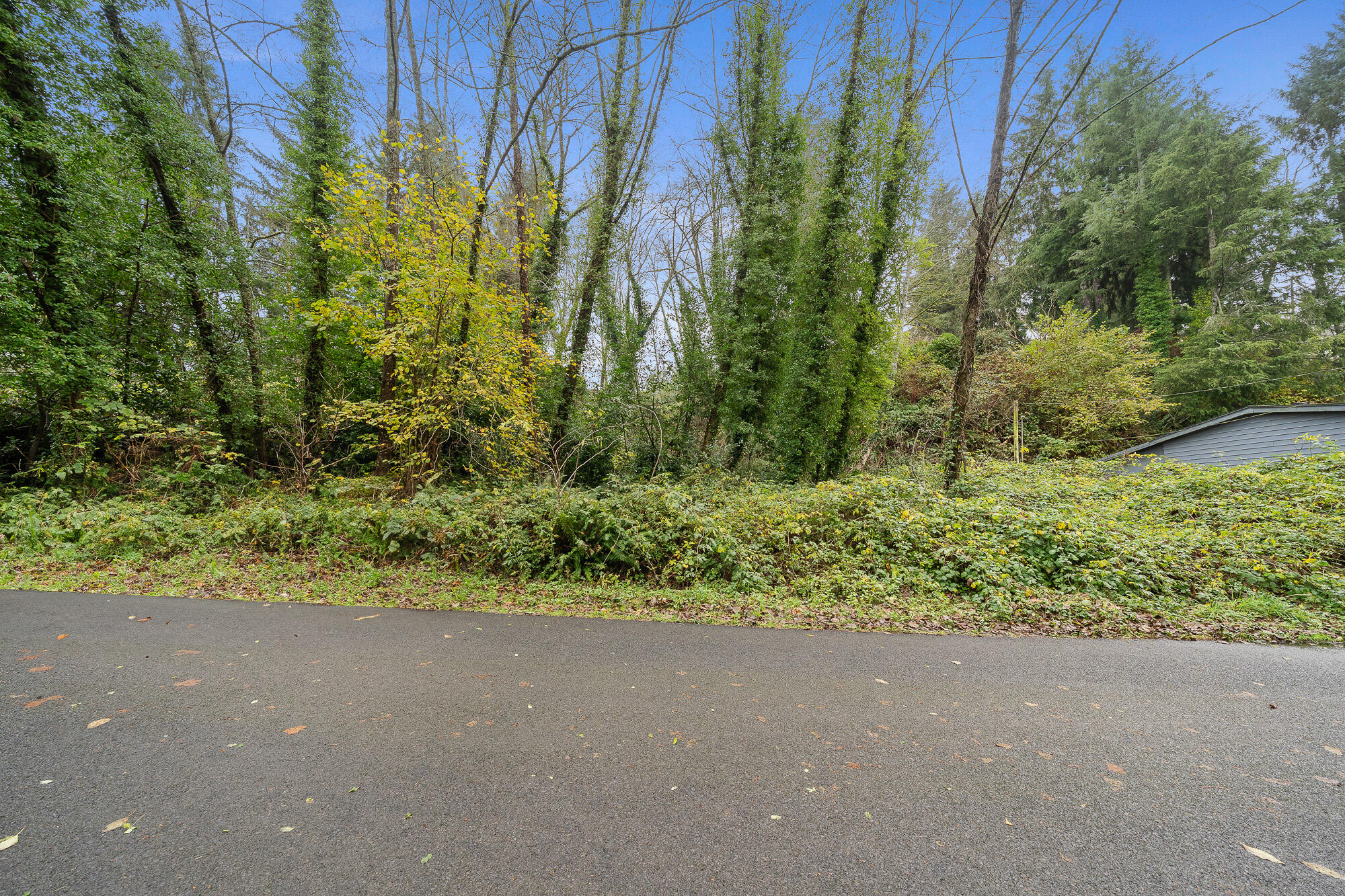 10602 I Street Nehalem, OR 97131 - Photo 8 of 14 DSC09134