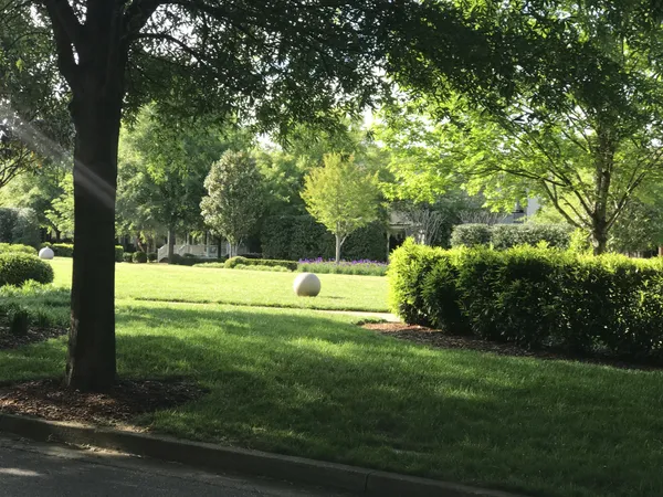 a view of a garden