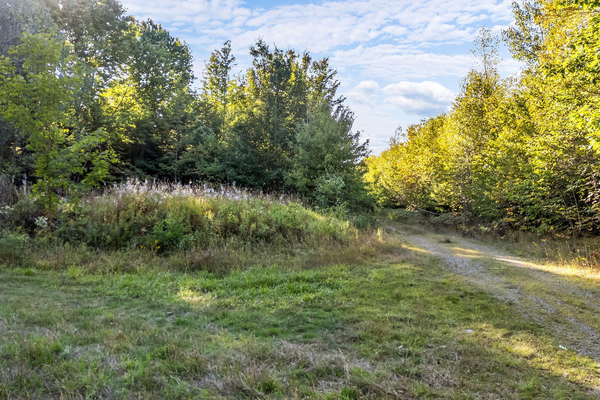 3 Map Road Old Town, ME 04468 - Photo 3 of 26