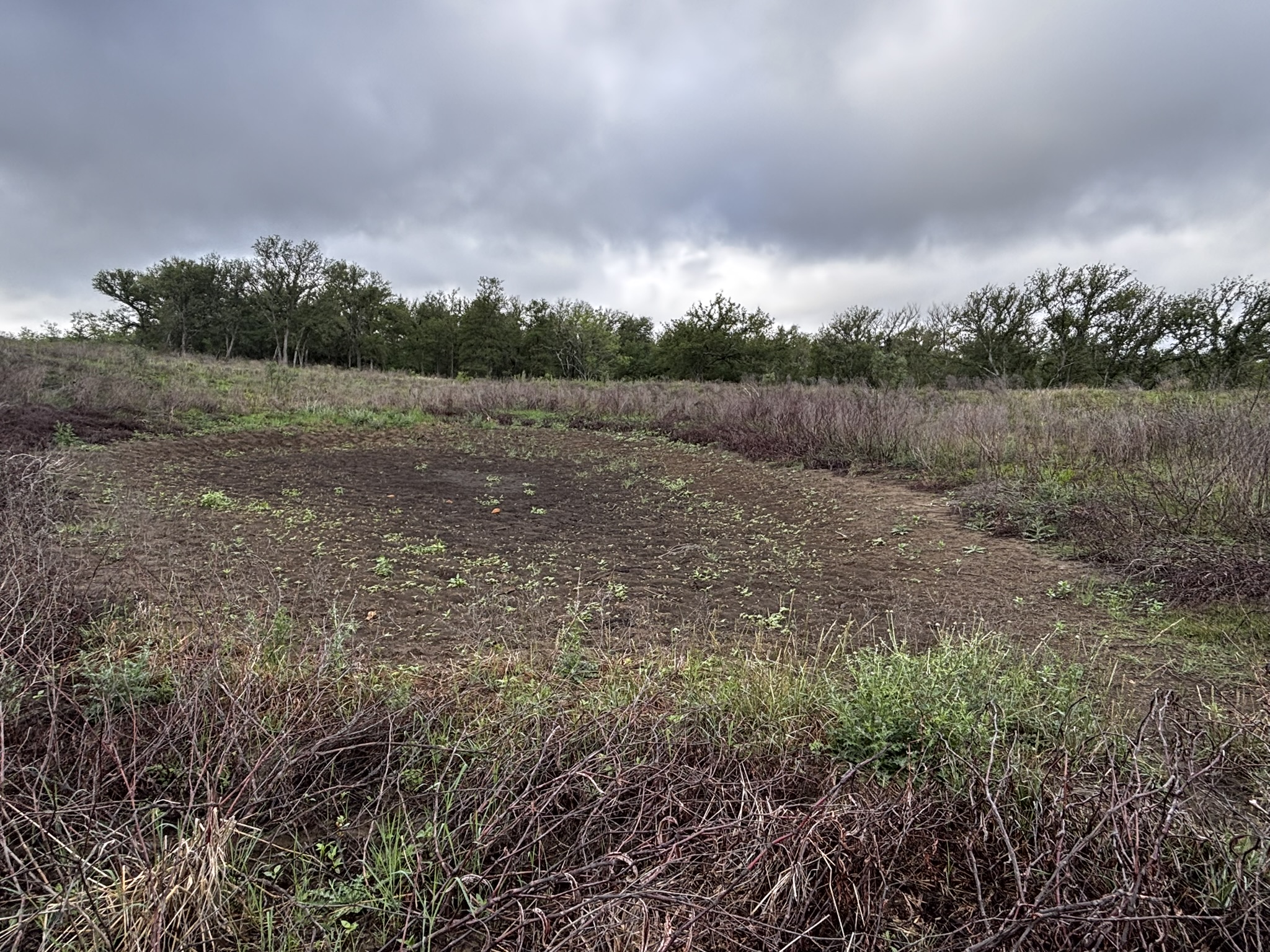 805 County Road 467 Elgin, TX 78621 - Photo 21 of 30 View of undeveloped land with rural landscape