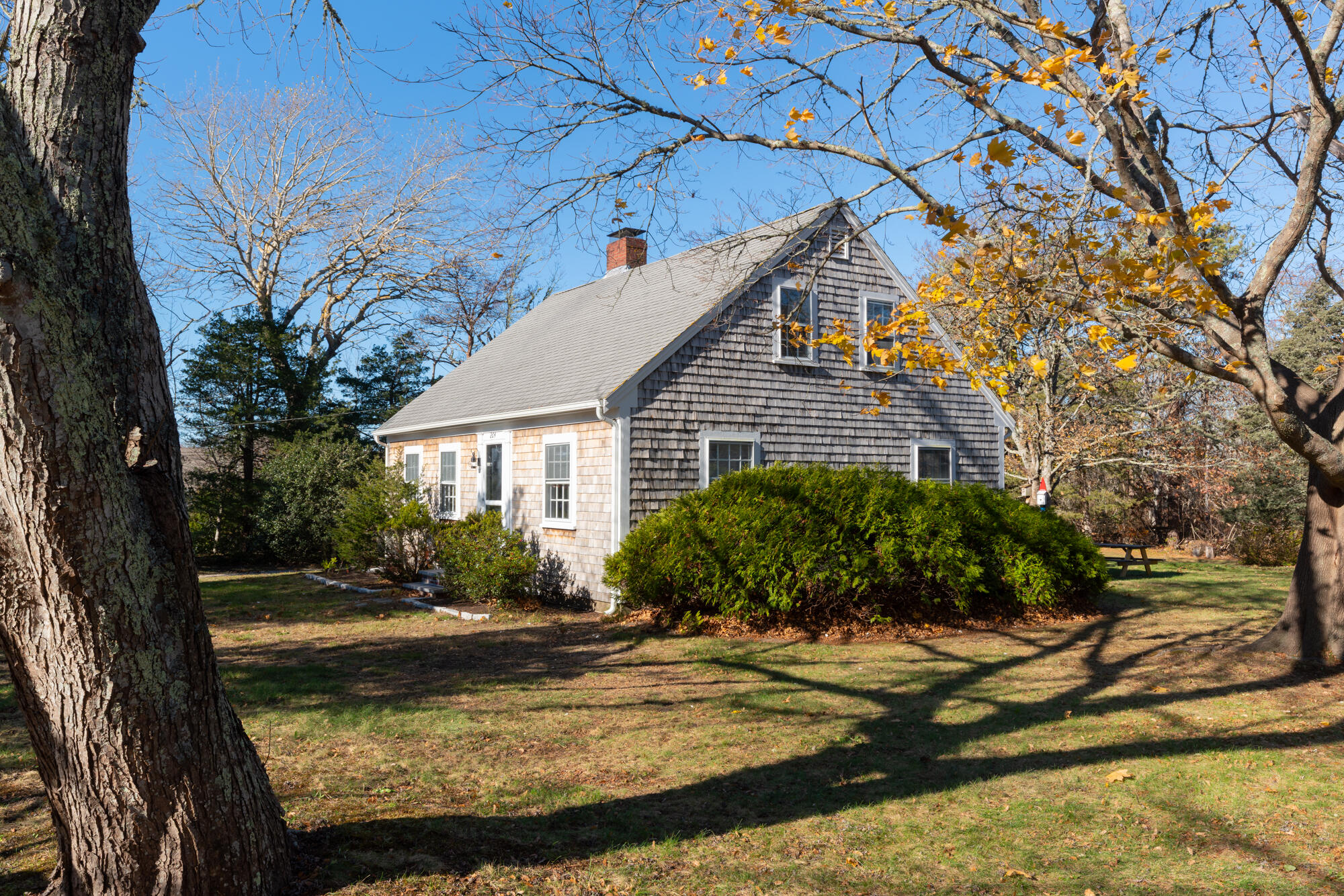 264 Route 28 Harwich, MA 02646 - Photo 4 of 39 a view of a house with backyard