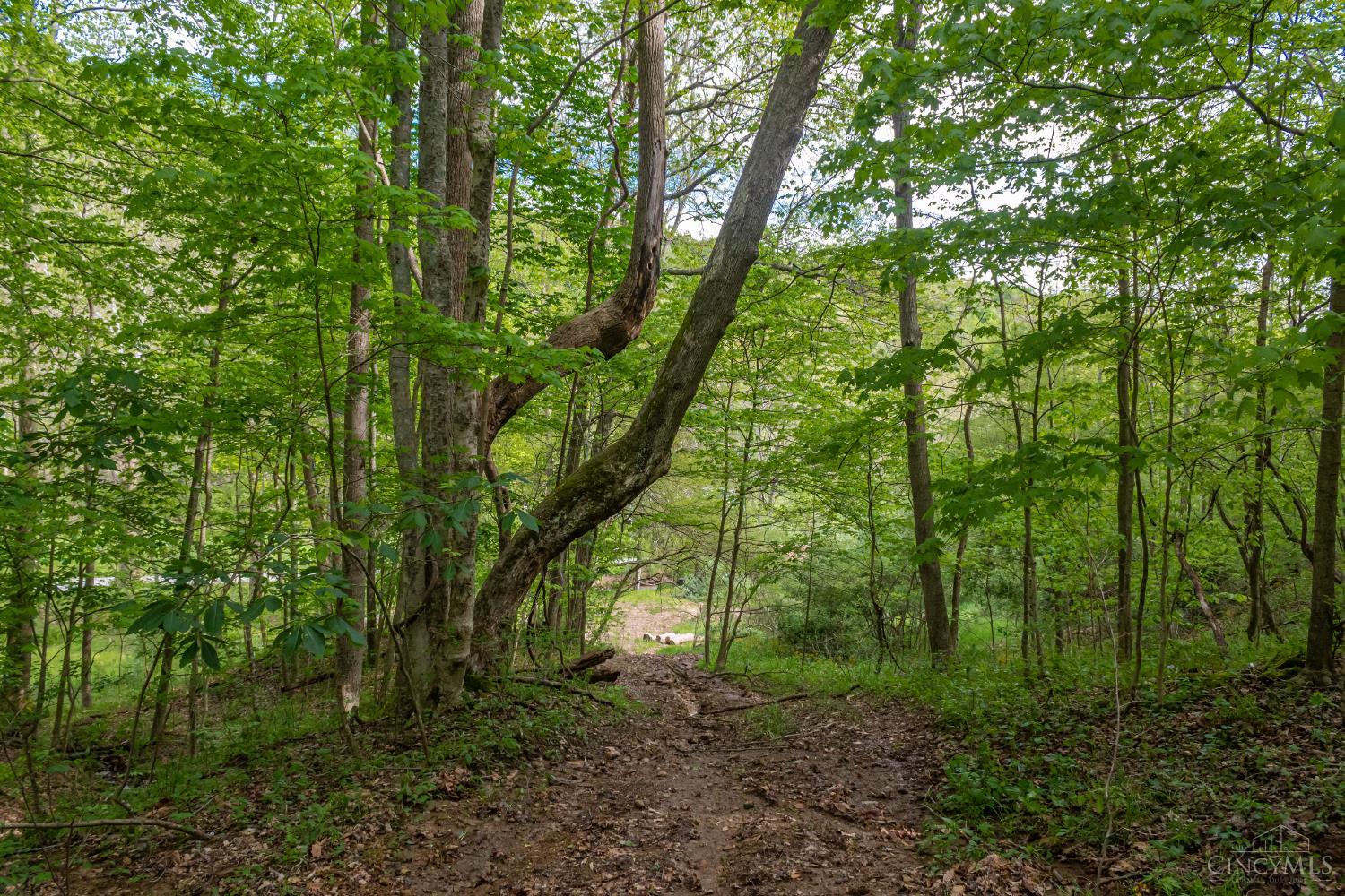 2432 Johnson Run Road Stout, OH 45684 - Photo 13 of 57 Gallery Image 13