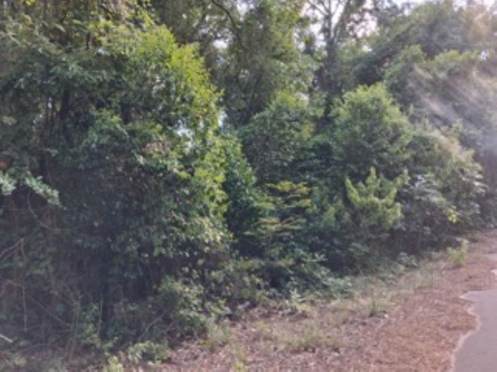Tbd Chaparral Run Murchison, TX 75778 - Photo 4 of 17 1.06 acre heavily treed lot