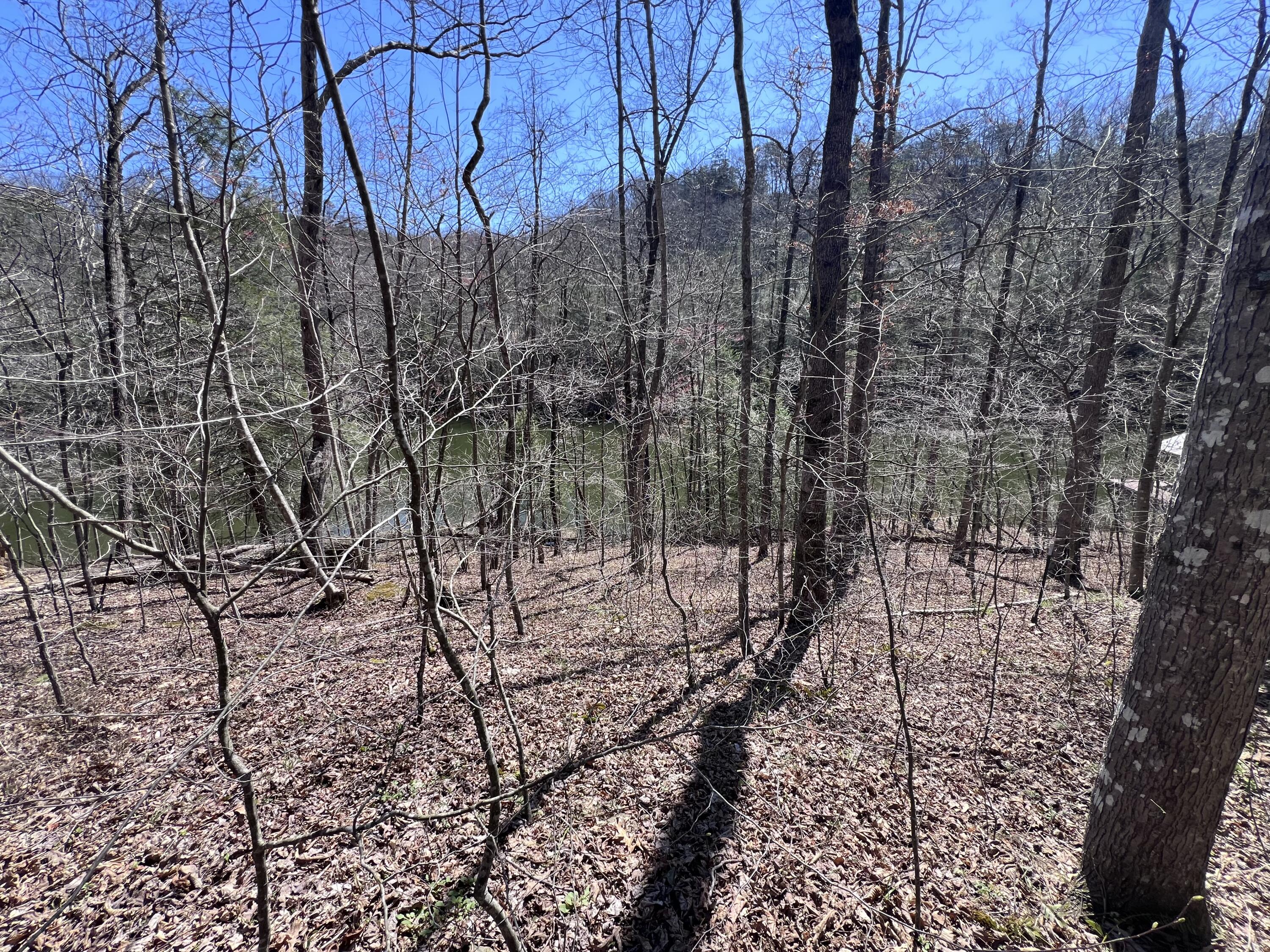 9911 Cliffs Edge Road East Bernstadt, KY 40729 - Photo 9 of 12 IMG_1716