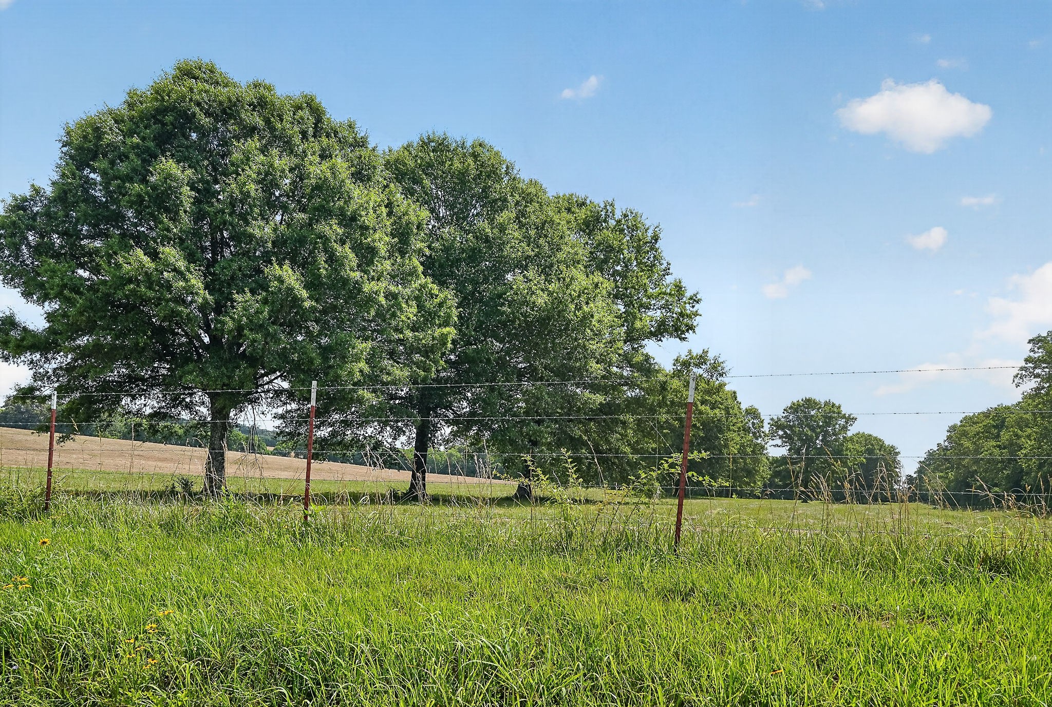 1600 Magness Road McMinnville, TN 37110 - Photo 40 of 63