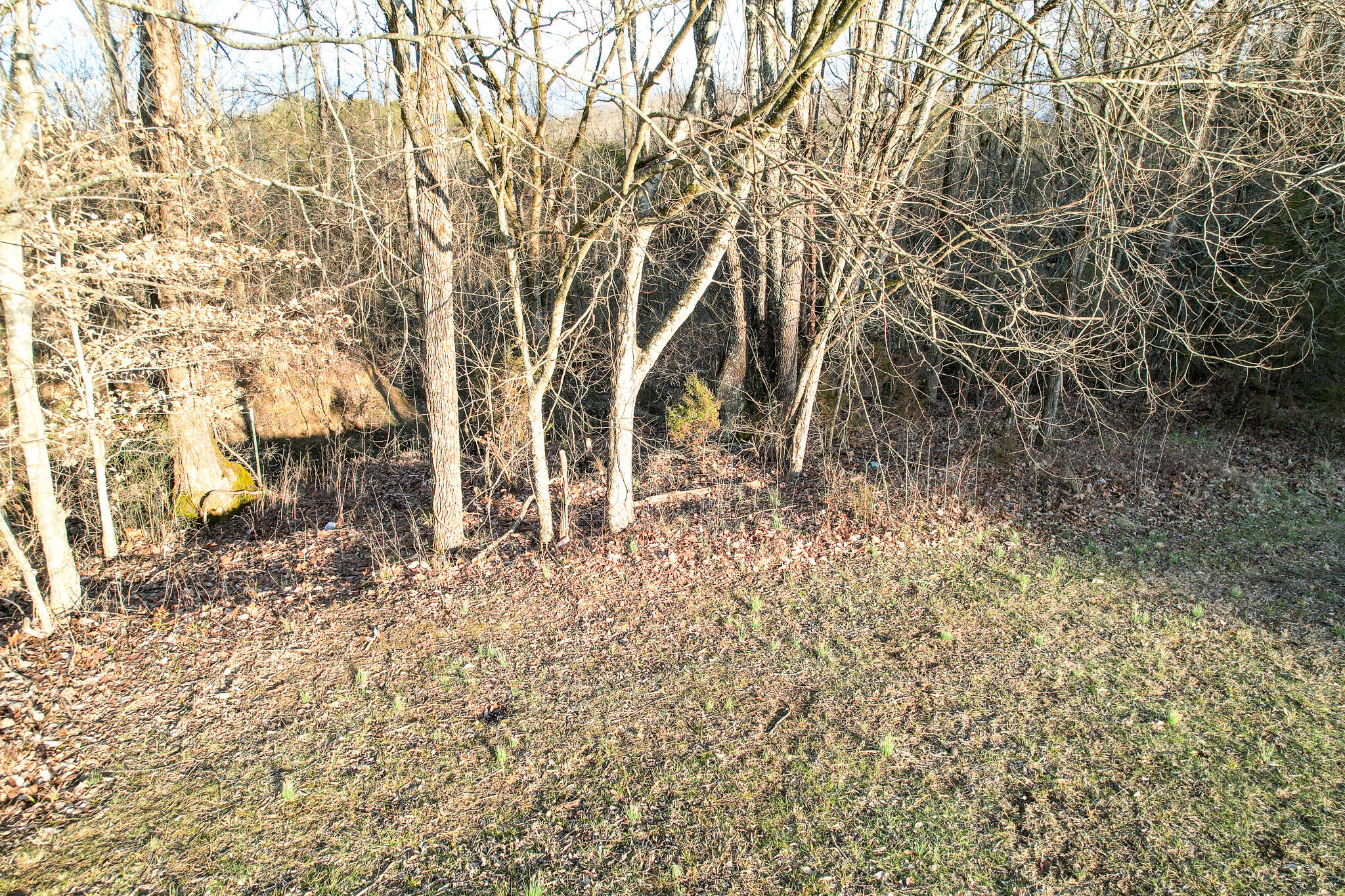 1540 Delta Valley Road, Unit 1 Greeneville, TN 37745 - Photo 10 of 26 10