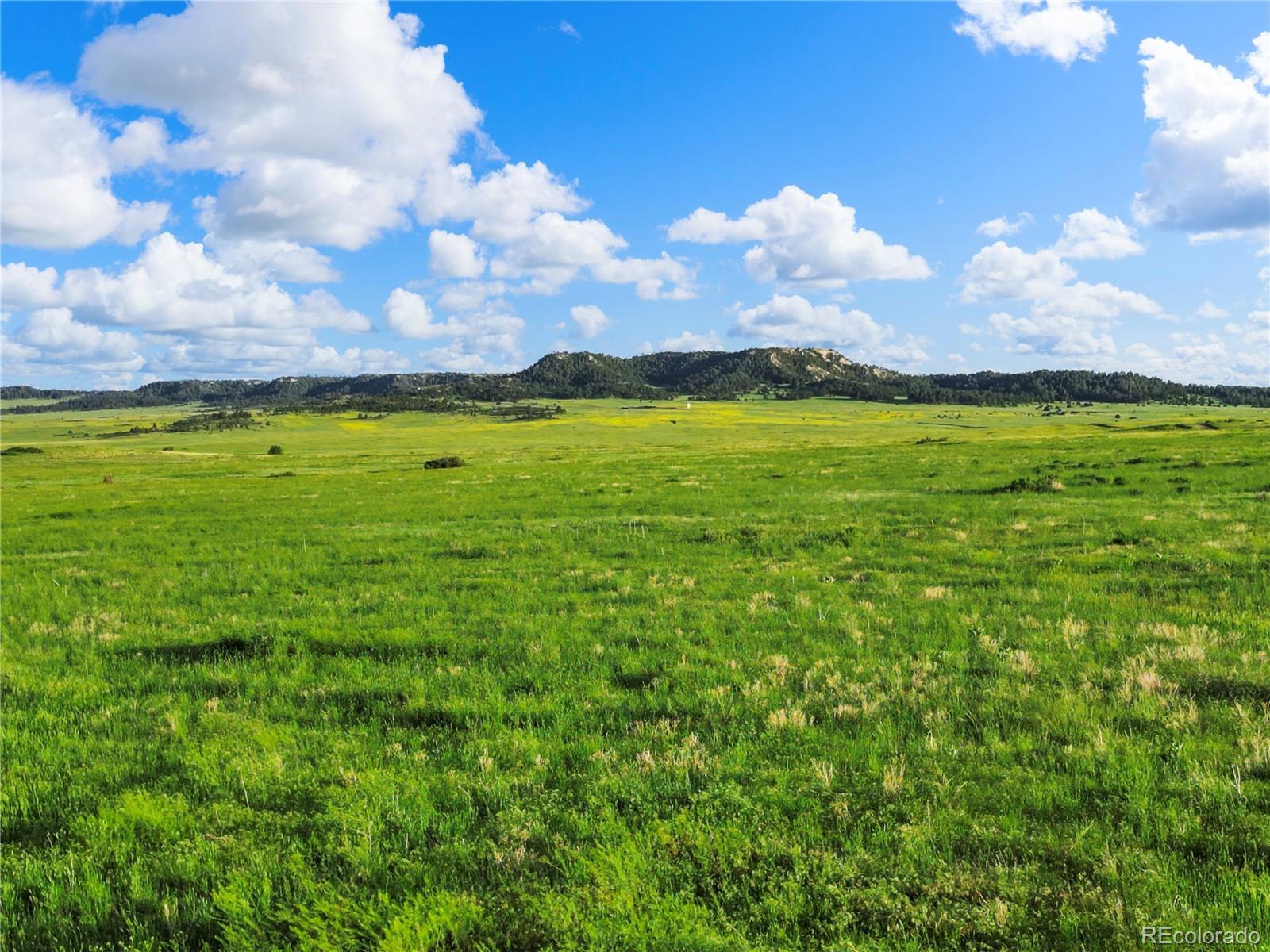 22 County Road 53 Elbert, CO 80106 - Photo 12 of 46 a view of an outdoor space and yard
