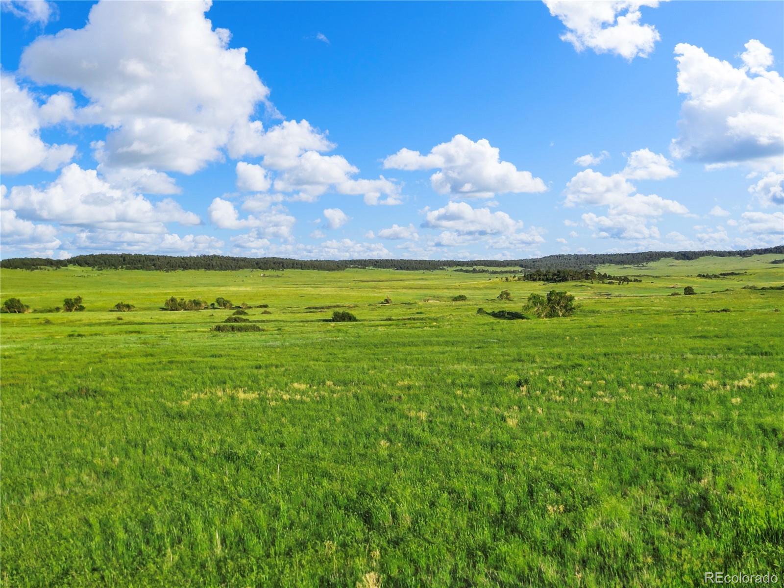 22 County Road 53 Elbert, CO 80106 - Photo 13 of 46 a view of an swimming pool and lake view