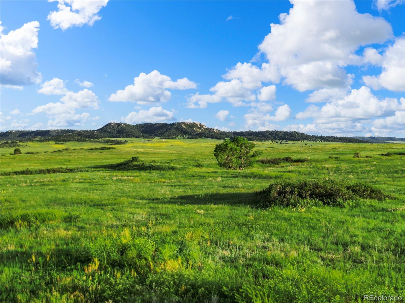 22 County Road 53 Elbert, CO 80106 - Photo 14 of 46 a view of a flower garden with a lake
