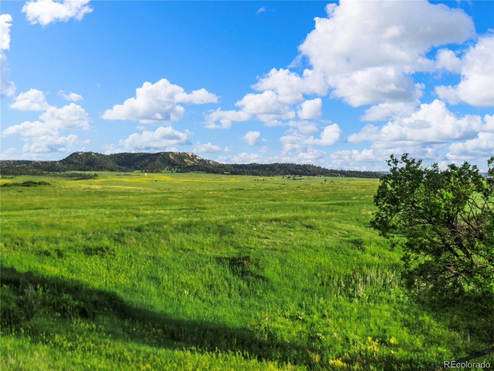 22 County Road 53 Elbert, CO 80106 - Photo 15 of 46 a view of a big yard with lots of green space
