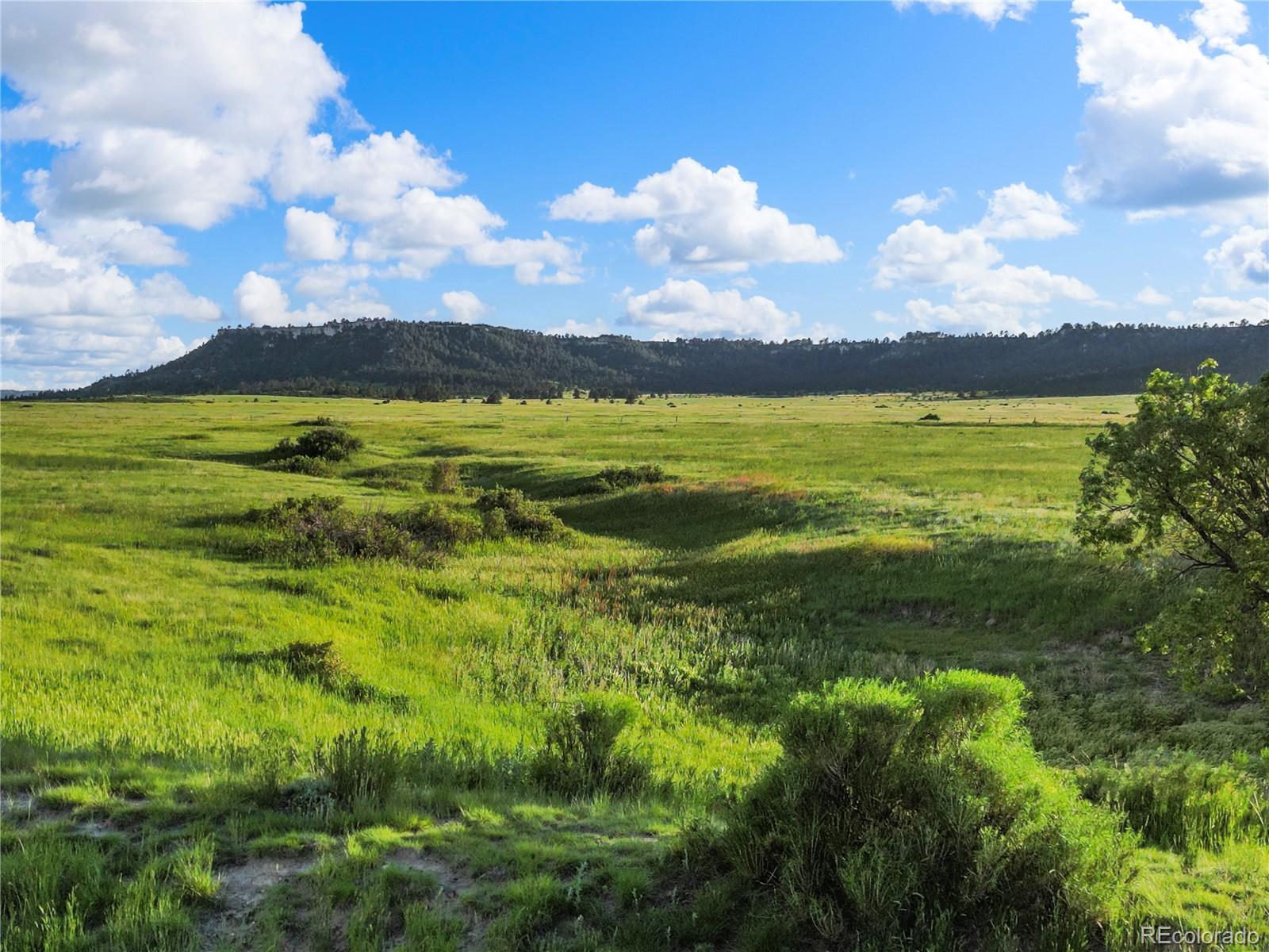 22 County Road 53 Elbert, CO 80106 - Photo 16 of 46 a view of an ocean and a yard